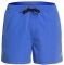  BOXER QUIKSILVER EVERYDAY VOLLEY 15 EQYJV03531   (S)