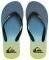 ���������� QUIKSILVER MOLOKAI NEW WAVE AQYL10...