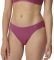  TRIUMPH FIT SMART TAI EX   (...