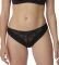  TRIUMPH VIVID SPOTLIGHT BRAZILIAN ...