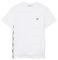 T-SHIRT LACOSTE TH1207 001  (XXXL)