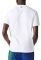 T-SHIRT LACOSTE CROCODILE BRANDING TH1228 001  (L)