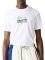 T-SHIRT LACOSTE CROCODILE BRANDING TH1228 001 ����� (XL)