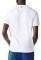 T-SHIRT LACOSTE CROCODILE BRANDING TH1228 001 ����� (XL)