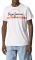 T-SHIRT PEPE JEANS ABREL PM508216  (L)