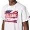 T-SHIRT PEPE JEANS ADELARD FLAG AND LOGO PM508223 ����� (L)