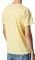 T-SHIRT PEPE JEANS AEGIR PM508227 PAINT EFFECT   (XL)