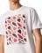 T-SHIRT PEPE JEANS AGIN PM508234 ����� (M)