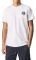 T-SHIRT PEPE JEANS ALEJO PM508254  (XL)