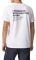 T-SHIRT PEPE JEANS ALEJO PM508254  (XL)