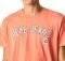 T-SHIRT PEPE JEANS ALESSIO PM508256 ��������� (L)
