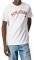 T-SHIRT PEPE JEANS ALESSIO PM508256  (L)