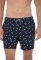  BOXER FUNKY BUDDHA FBM005-052-16   (S)