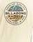 T-SHIRT BILLABONG ROTOR FILL C1SS08BIP2 ������� ������� (S)