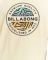 T-SHIRT BILLABONG ROTOR FILL C1SS08BIP2   (L)