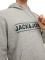 HOODIE JACK & JONES JORFRIDAY 12220537    (L)