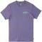 T-SHIRT BILLABONG ARCH FILL ABYZT01696  (S)