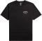 T-SHIRT BILLABONG ARCH DREAMY PLACE EBYZT00107  (S)