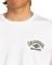 T-SHIRT BILLABONG ARCH DREAMY PLACE EBYZT00107  (L)