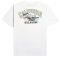 T-SHIRT BILLABONG ARCH DREAMY PLACE EBYZT00107  (XL)