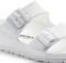 BIRKENSTOCK ARIZONA EVA REGULAR 129441  (41)