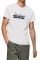 T-SHIRT PEPE JEANS RAFA WITH BRUSHES LOGO PM508673  (XL)