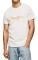 T-SHIRT PEPE JEANS RICHME LOGO PRINT PM508697  (S)