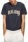 T-SHIRT PEPE JEANS RONELL PM508707   (L)