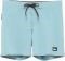  BOXER QUIKSILVER SURFSILK KAIMANA 16 EQYBS04662  (30)