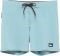  BOXER QUIKSILVER SURFSILK KAIMANA 16 EQYBS04662  (31)