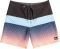   QUIKSILVER SURFSILK PANEL 18 E...