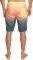����� �������� QUIKSILVER EVERYDAY WARP FADE 20 EQYBS04790 BSL6 ��������� (31)
