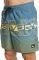  BOXER QUIKSILVER EVERYDAY WORDBLOCK VOLLEY 17 EQYJV04005 / (M)