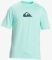 T-SHIRT QUIKSILVER SOLID STREAK EQYWR03386  (S)