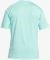 T-SHIRT QUIKSILVER SOLID STREAK EQYWR03386  (S)