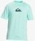 T-SHIRT QUIKSILVER SOLID STREAK EQYWR03386 �������� (M)