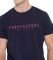 T-SHIRT FUNKY BUDDHA FBM007-329-04   (S)