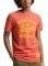 T-SHIRT SUPERDRY OVIN VINTAGE HOME RUN M10114...