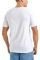 T-SHIRT NAUTICA TYRIAN N1I00878 908  (L)