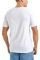 T-SHIRT NAUTICA TYRIAN N1I00878 908  (XXL)