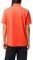 T-SHIRT POLO LACOSTE L1212 02K  (M)