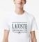 T-SHIRT LACOSTE TH0322 001  (M)