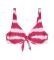 BIKINI TOP TRIUMPH SUMMER FIZZ W PT  (46F)