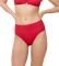 BIKINI BRIEF TRIUMPH FLEX SMART SUMMER MAXI S...