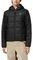 LACOSTE BH1666 C31 