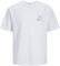 T-SHIRT JACK & JONES JCOSTAGGER EMBRODERY 122...
