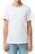 T-SHIRT LACOSTE PIQUE STRIPE COLLAR TH8174 00...