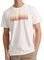 T-SHIRT FUNKY BUDDHA FBM009-044-04  (M)
