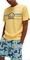 T-SHIRT ELLESSE LENTAMENTE SHV11918  (...