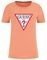 T-SHIRT GUESS TRIANGLE LOGO W1YI1BI3Z14  (M)